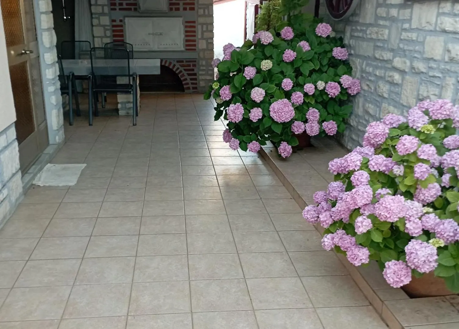 Apartman Kiwi Umag Daire